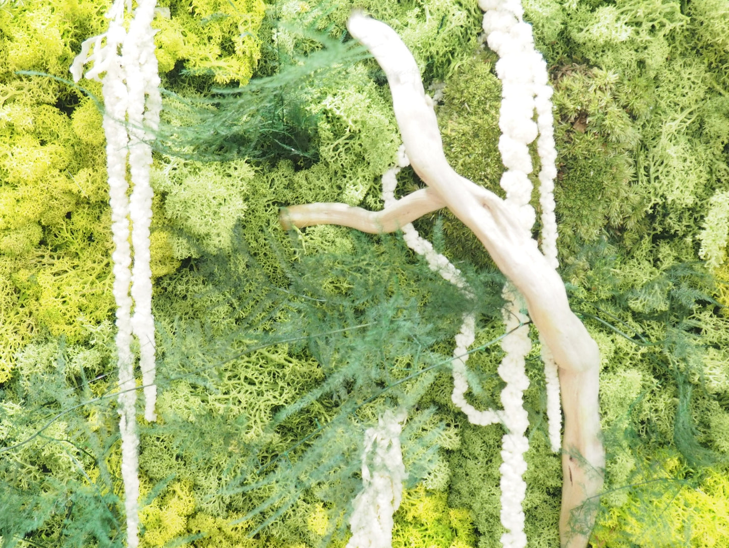 Quadro vegetale muschio e piante stabilizzate