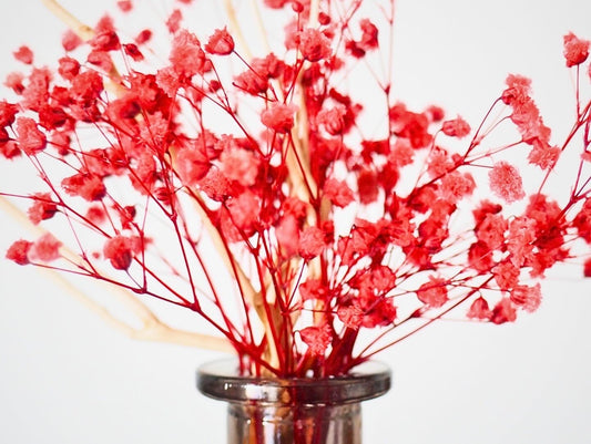 Amphora Diffusore Ikebana