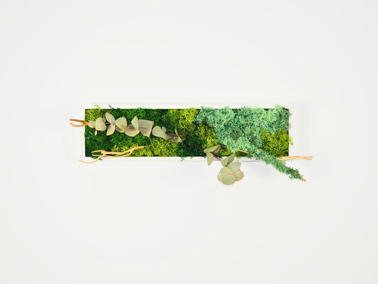 Quadro vegetale muschio e piante stabilizzate