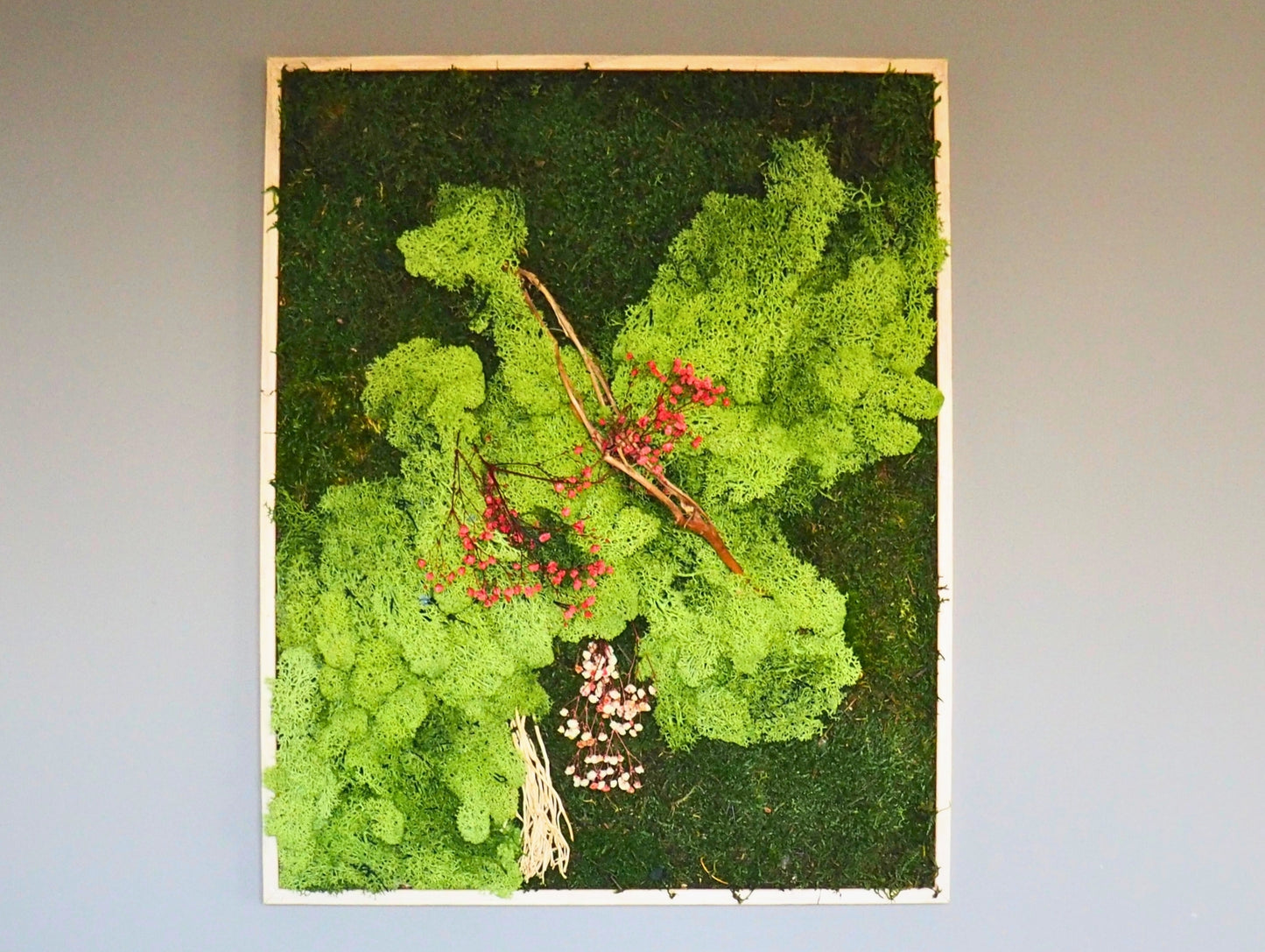 Quadro vegetale muschio e piante stabilizzate