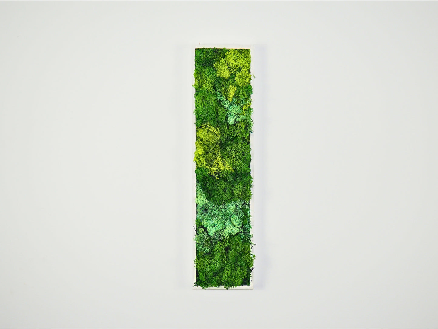 Quadro Vegetale Stabilizzato Shade