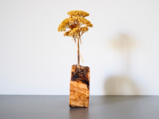 Circle Propagator Pot