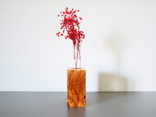 Vaso per fiori e talee