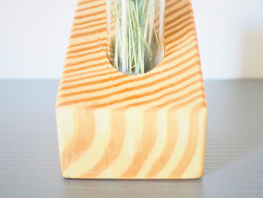 Vaso propagatore talea fiori