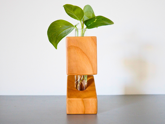 Vaso propagatore talea fiori