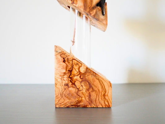 Vaso propagatore talea fiori