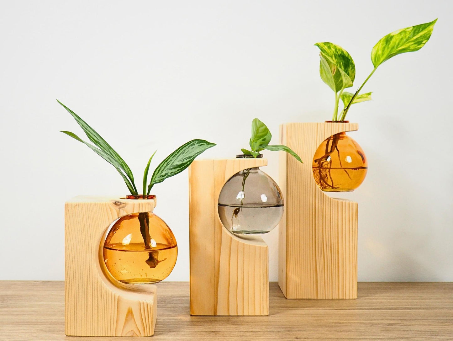 Vaso propagatore talea fiori secchi