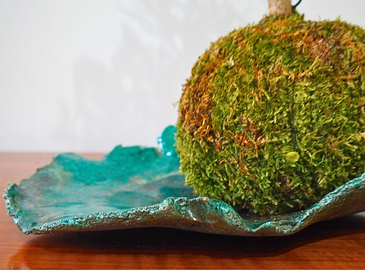 Base per kokedama raku