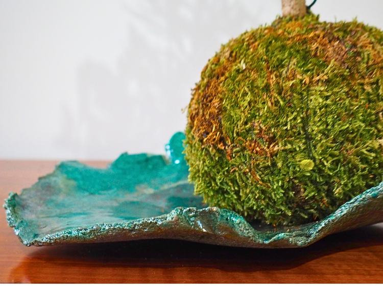 Basi per piante kokedama