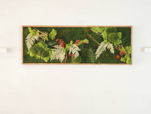Quadro vegetale muschio e piante stabilizzate