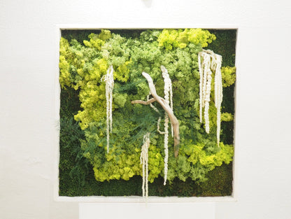 Quadro vegetale muschio e piante stabilizzate