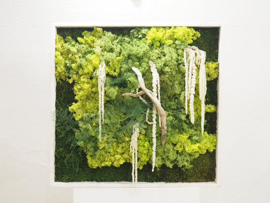 Quadro vegetale muschio e piante stabilizzate