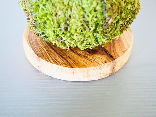 Wooden base 10x1cm