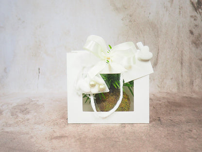 Kokedama Mix Green Favor