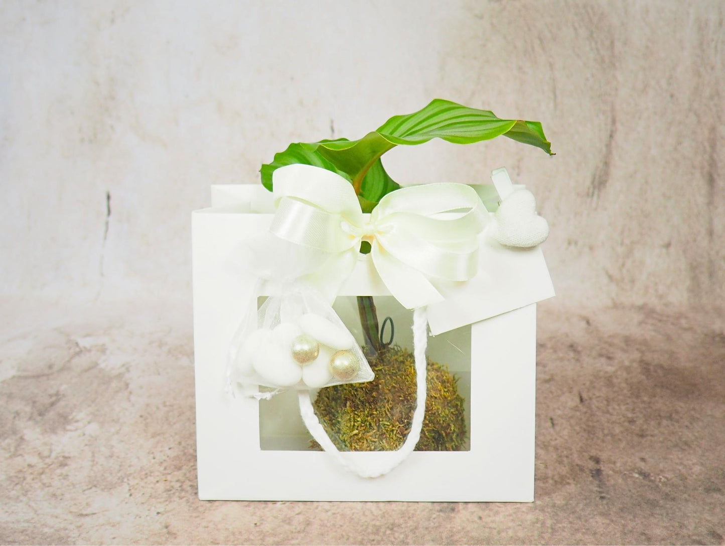 Kokedama Mix Green Favor