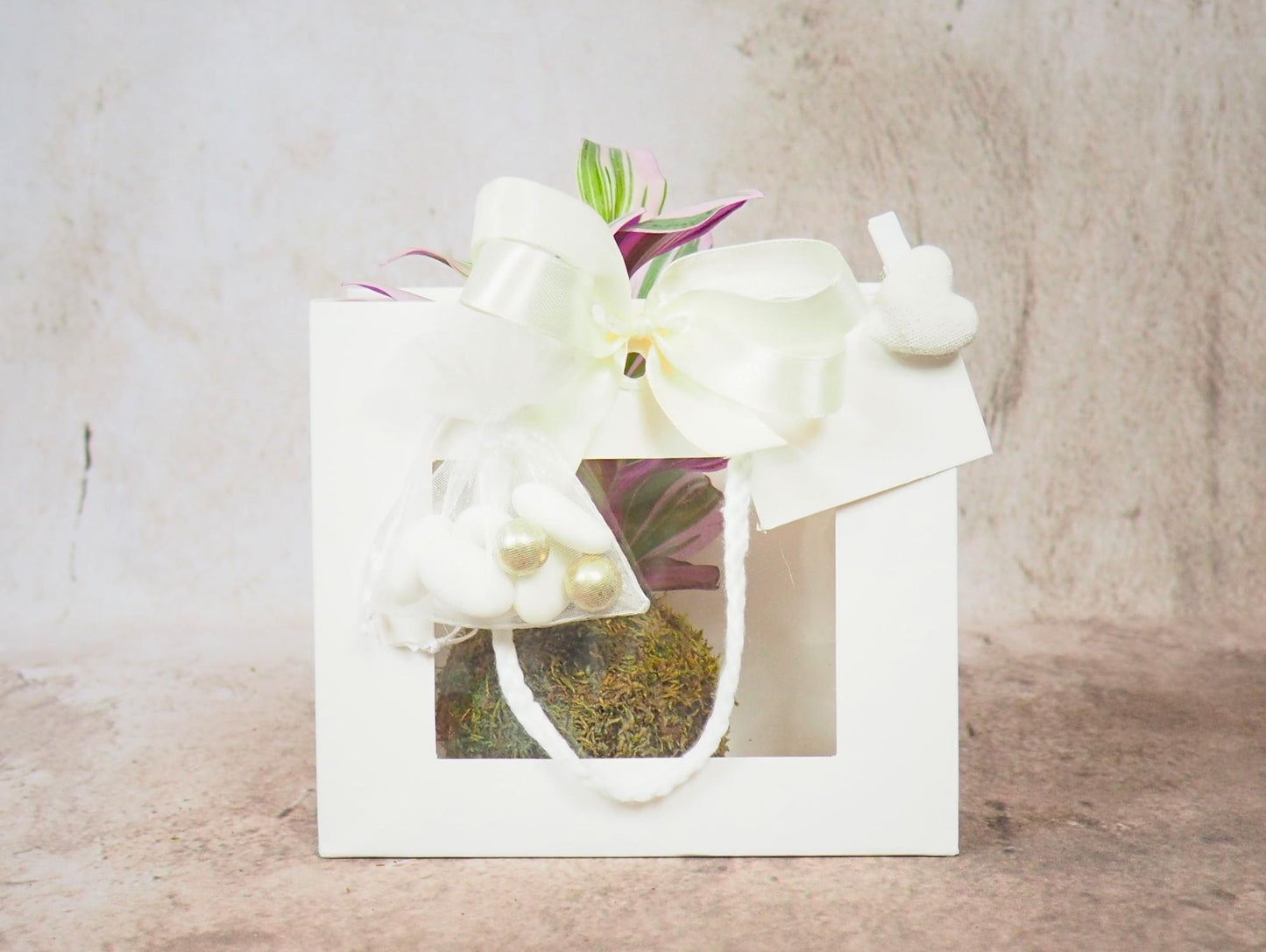 Kokedama Mix Green Favor
