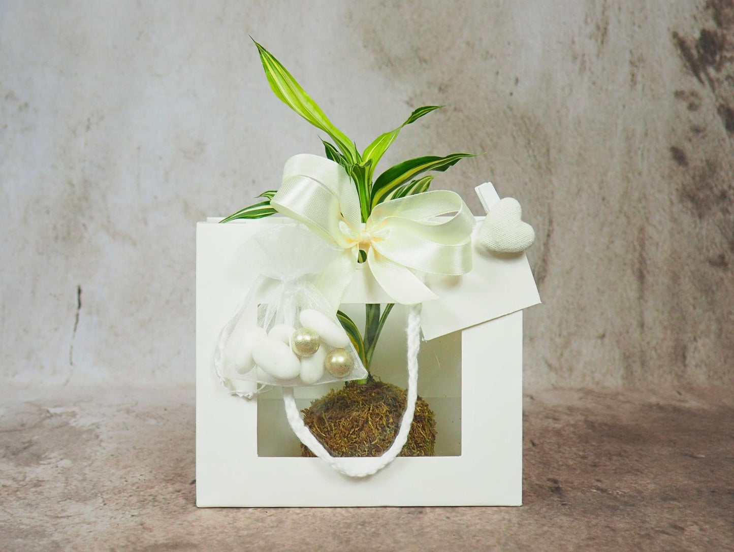 Kokedama Mix Green Favor
