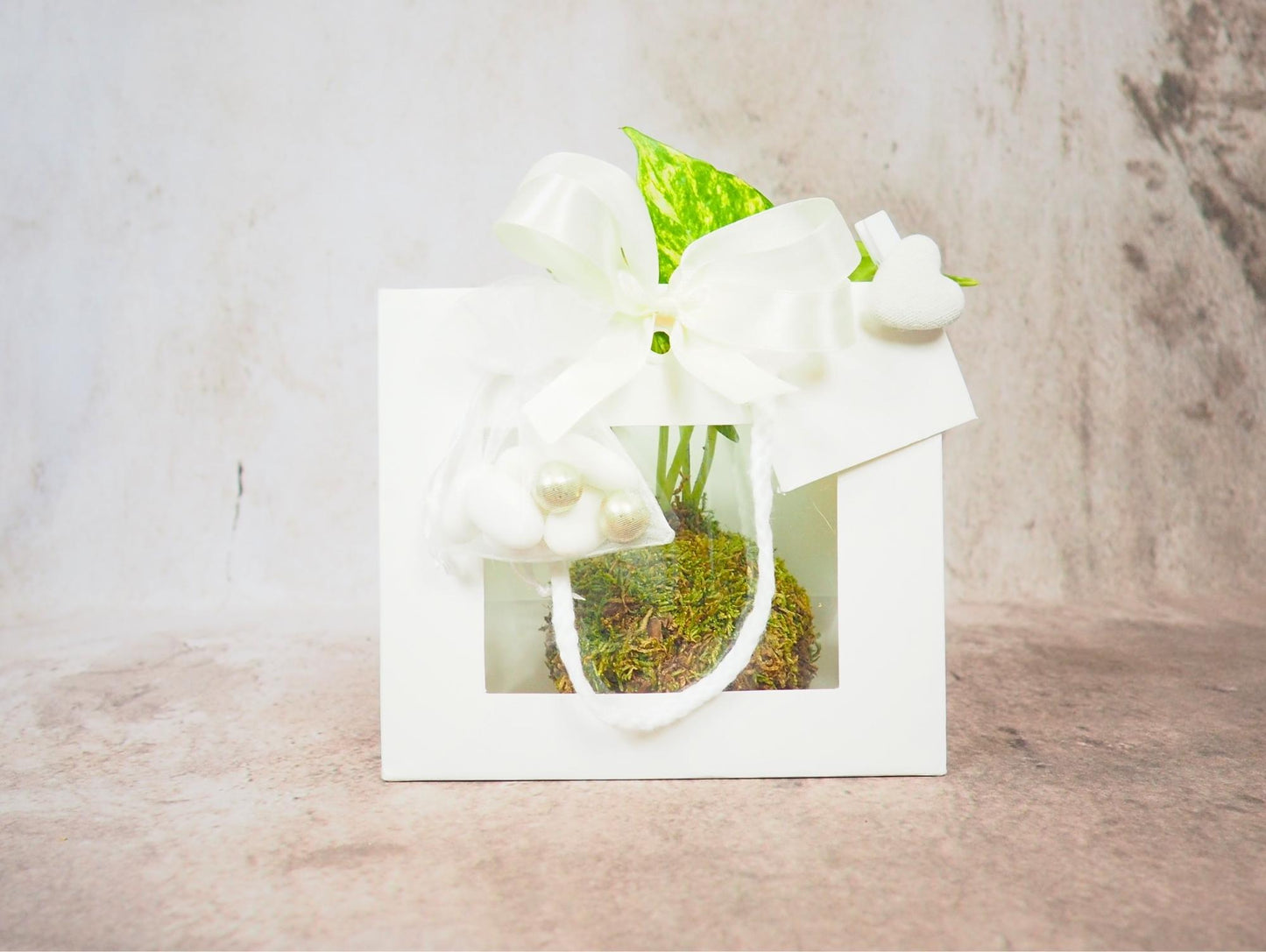 Kokedama Mix Green Favor