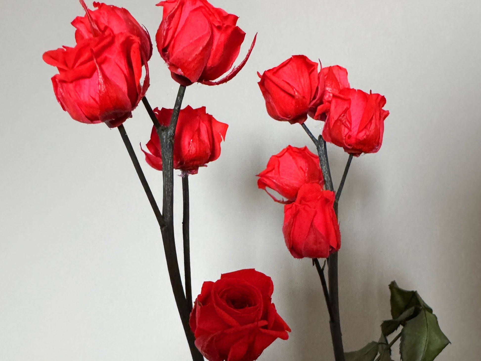 Kokedama Rosa Stabilizzato