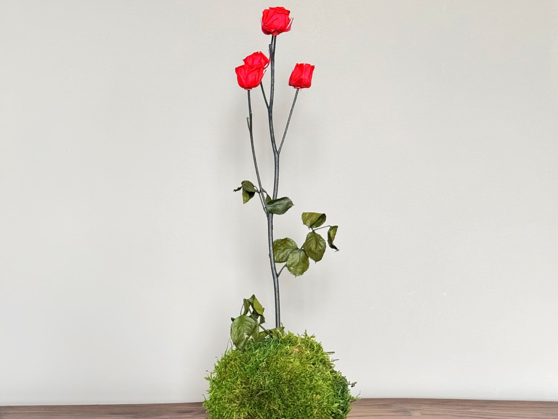 Kokedama Rosa Stabilizzato