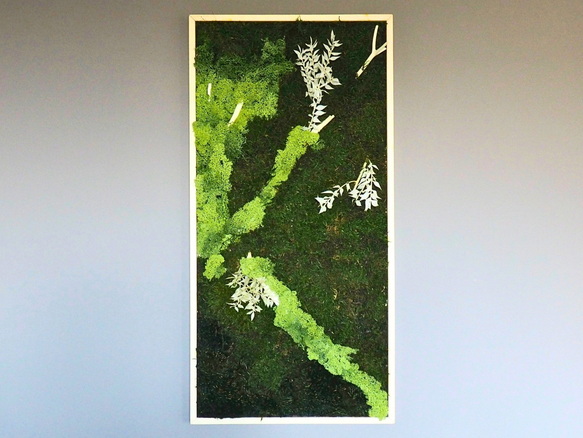 Quadro vegetale muschio e piante stabilizzate