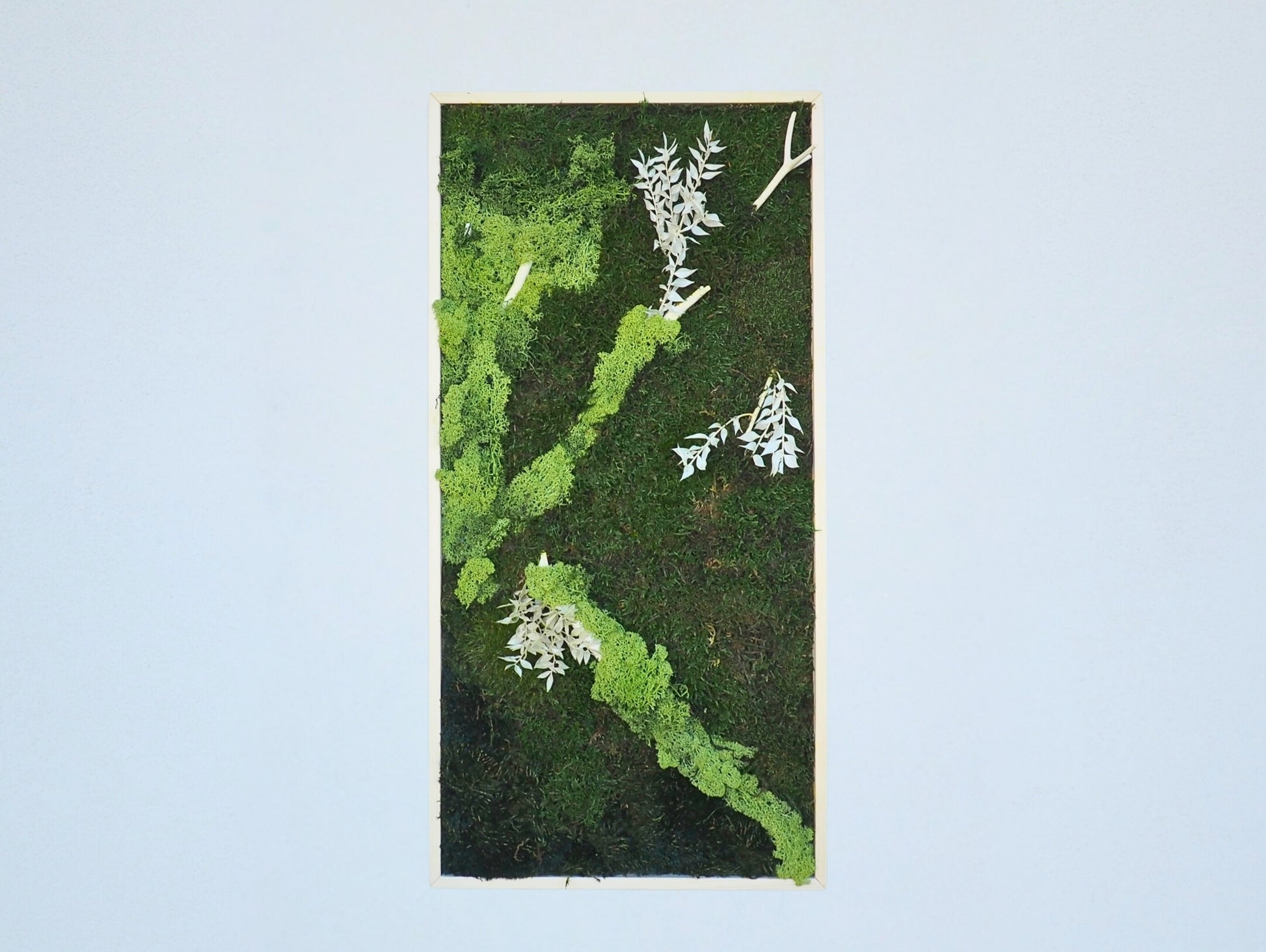 Quadro vegetale muschio e piante stabilizzate