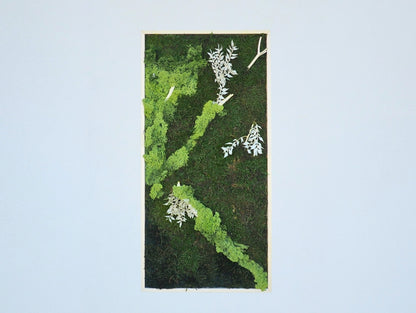 Quadro vegetale muschio e piante stabilizzate