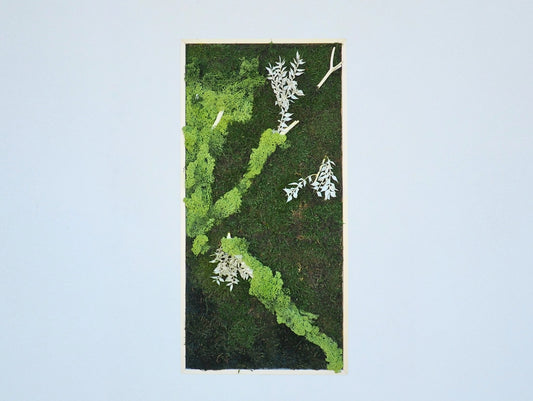 Quadro vegetale muschio e piante stabilizzate