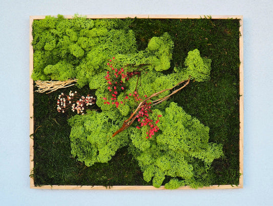 Quadro vegetale muschio e piante stabilizzate