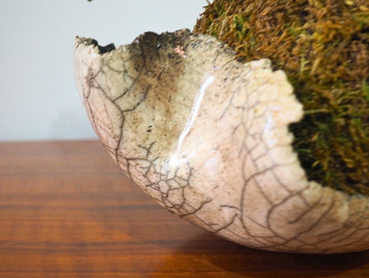 Base per kokedama raku