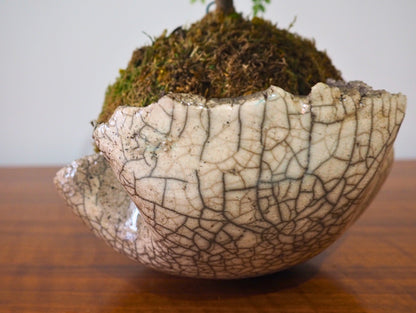 Base per kokedama raku