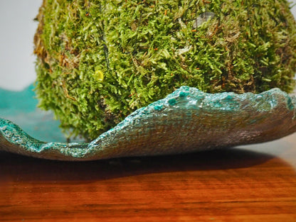 Base per kokedama raku