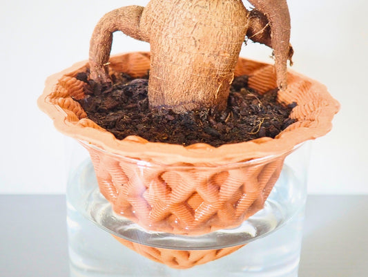 Darcy 3D S Vase