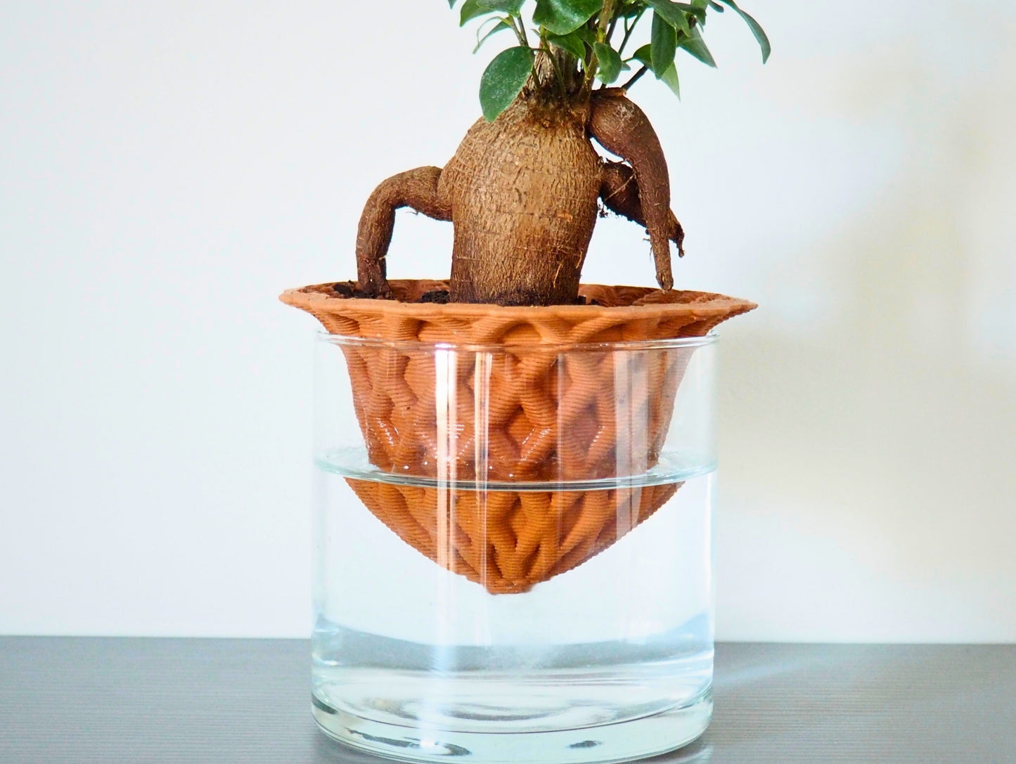 Vaso Darcy 3D S