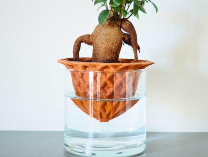 Vaso Darcy 3D S