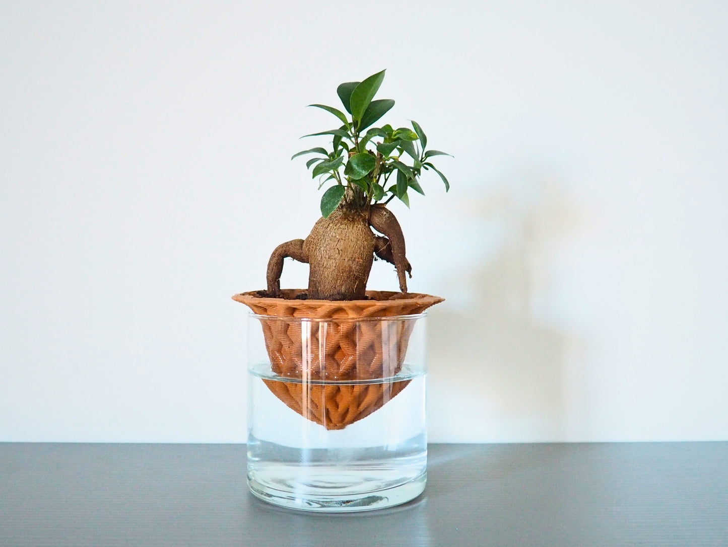 Vaso Darcy 3D S