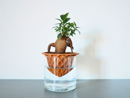 Vaso Darcy 3D S