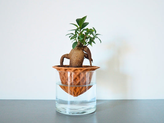 Darcy 3D S Vase
