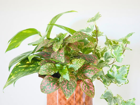 Darcy 3D Vase L