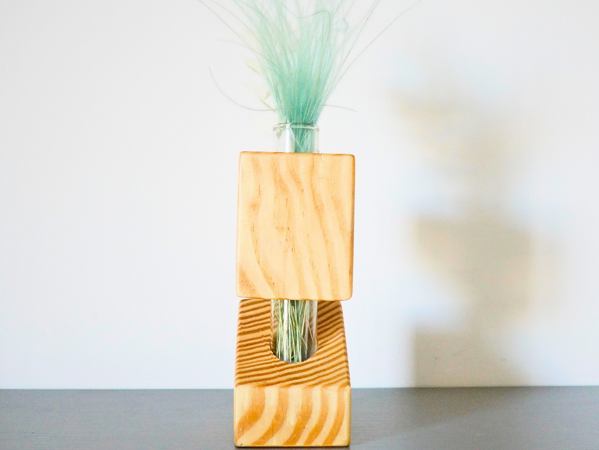 Vaso propagatore talea fiori