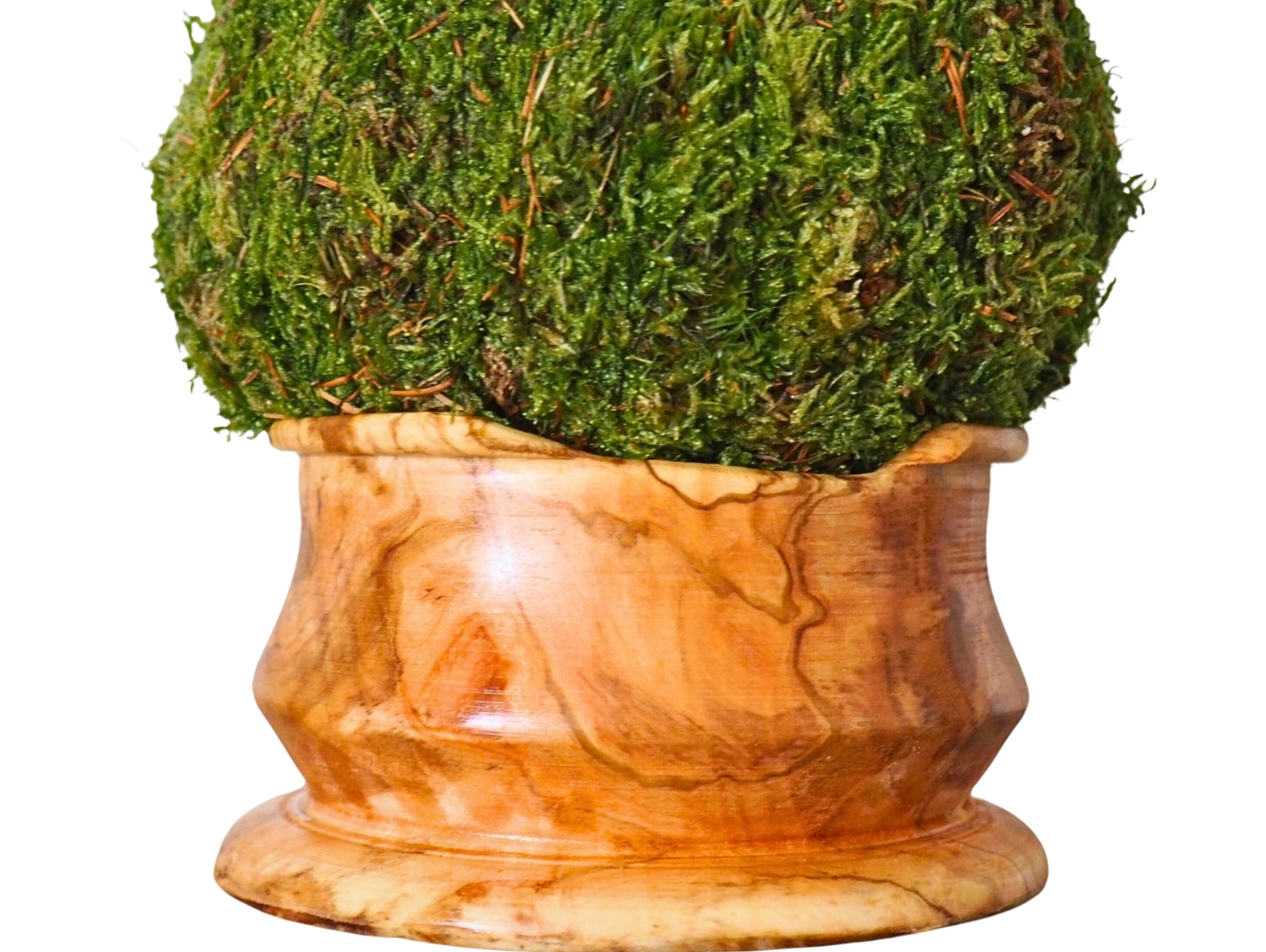 Wooden base 10x1cm