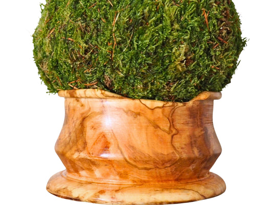 Wooden base 10x1cm
