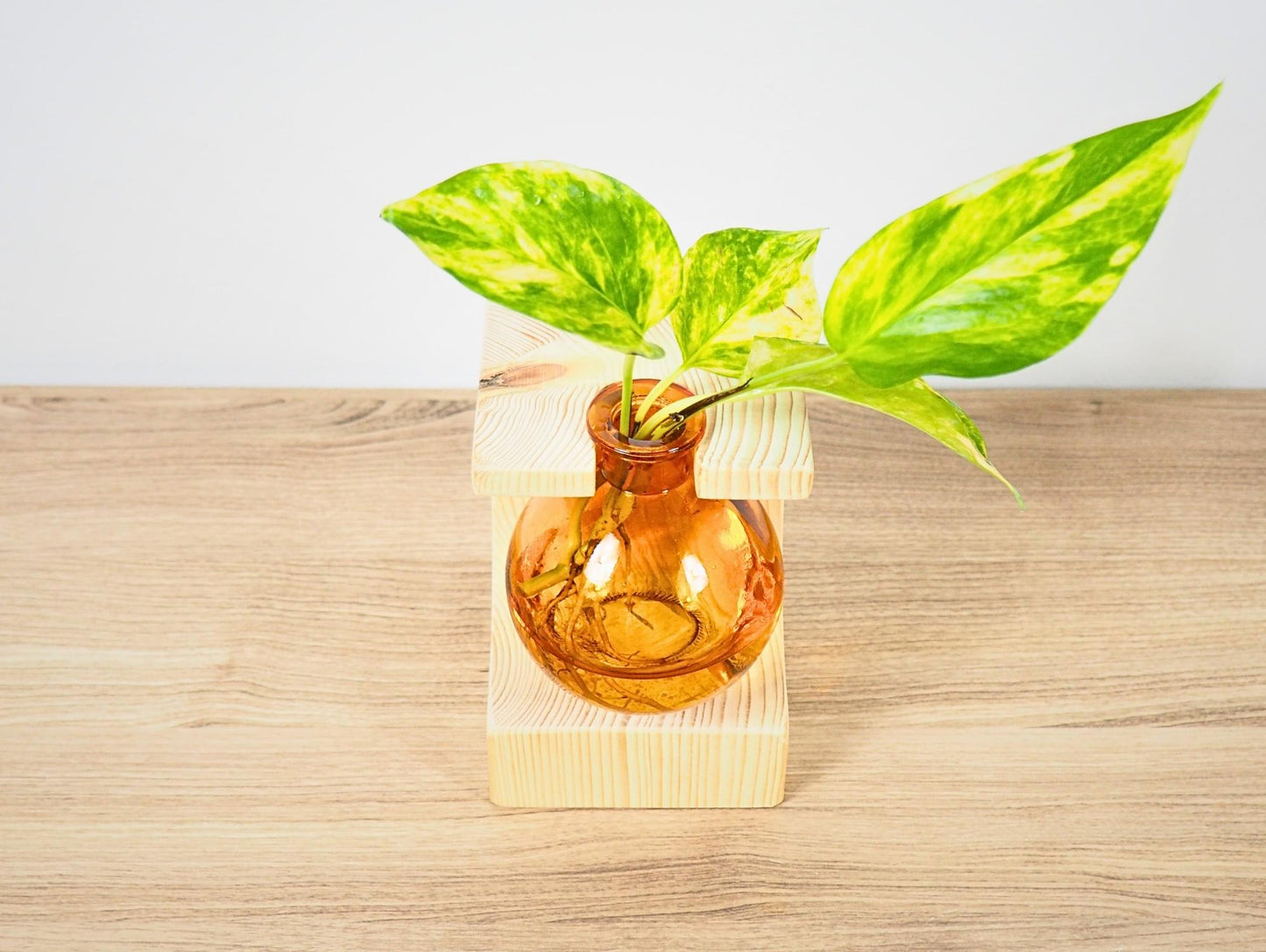 Vaso propagatore talea fiori secchi