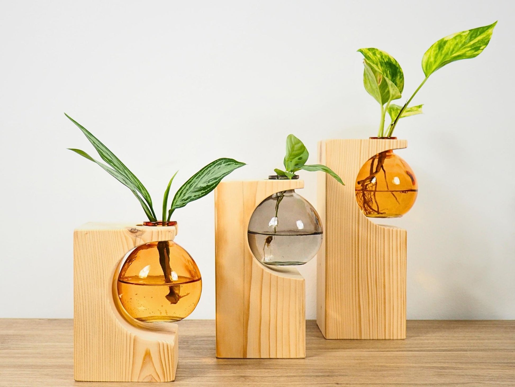 Vaso propagatore talea fiori secchi