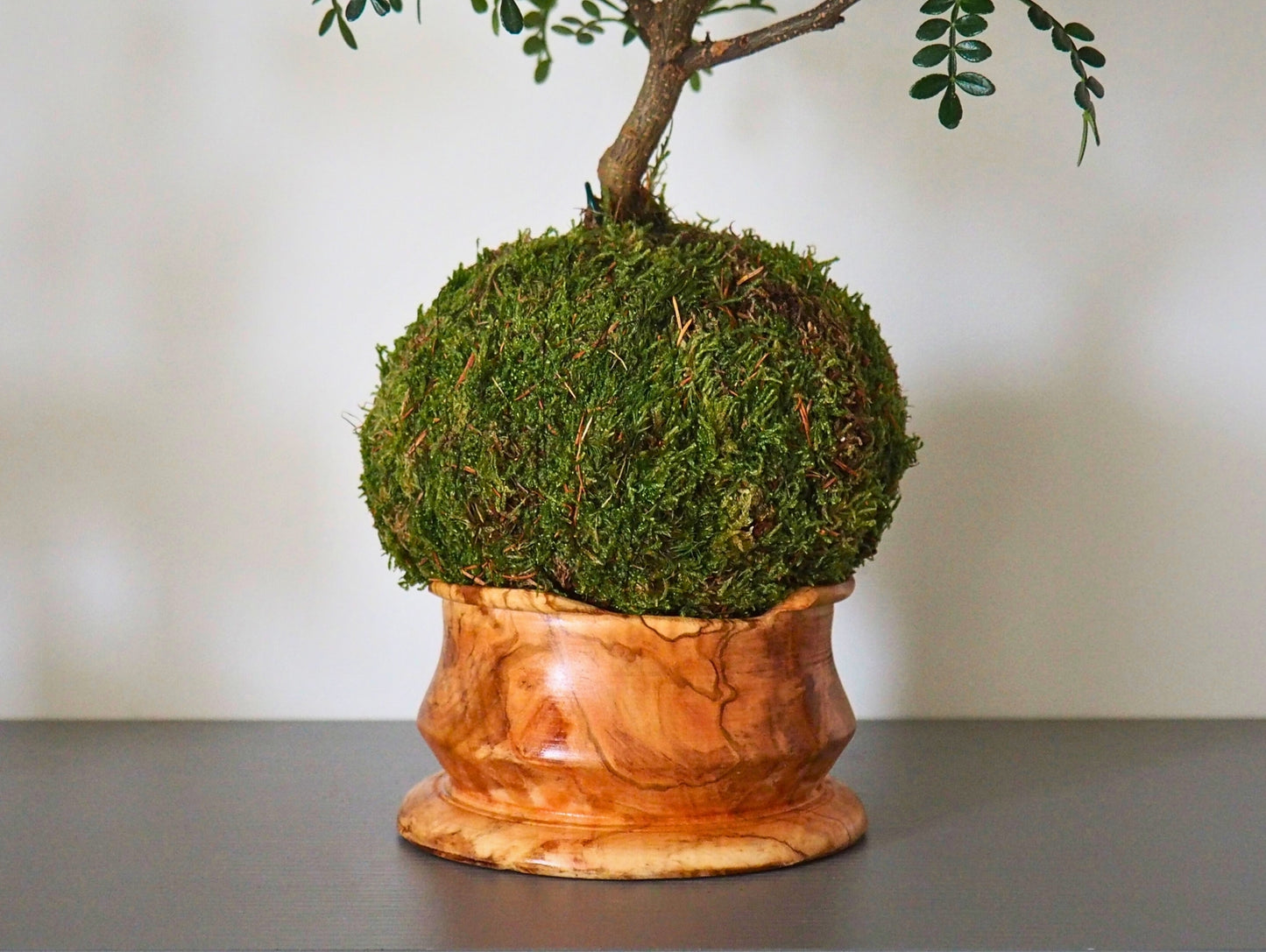 Wooden base 10x1cm
