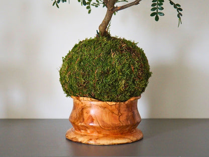 Wooden base 10x1cm