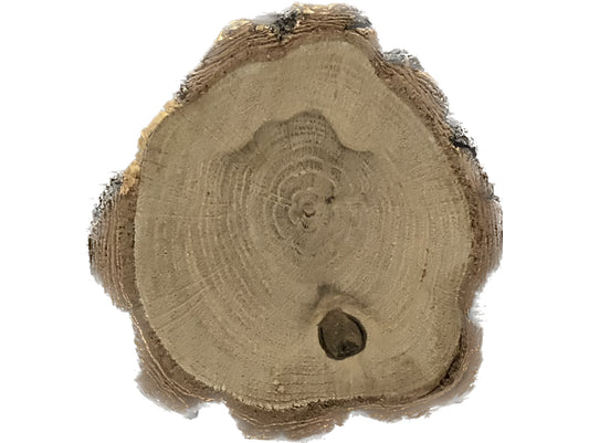 Wooden base 10x1cm