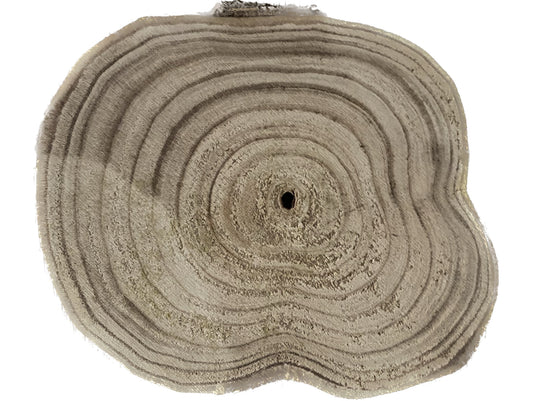 Wooden base 10x1cm